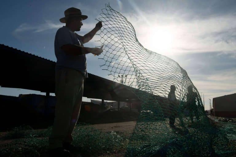 Mesa para 10. El poder de la fotografía para contar historias y poner en valor la agricultura, ganadería y pesca de una comarca, la Axarquía