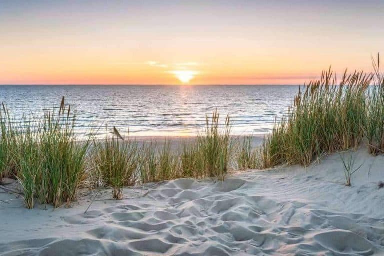 La Marinada, una villa espectacular situada en la Reserva Natural del Delta del Ebro