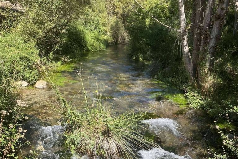 Una nueva forma de relacionarse con los alimentos y la naturaleza, con el Dr. Rafael Torres