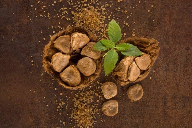 ¿Cuáles son los beneficios del azúcar del monk fruit?