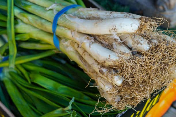 Por qué consumir este alimento