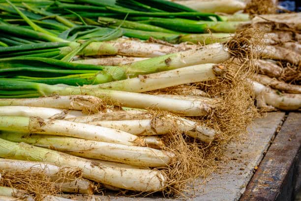 Origen de los calçots