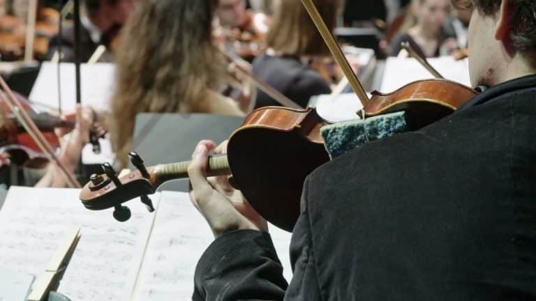 Se descubre la posible causa del fallecimiento de Beethoven