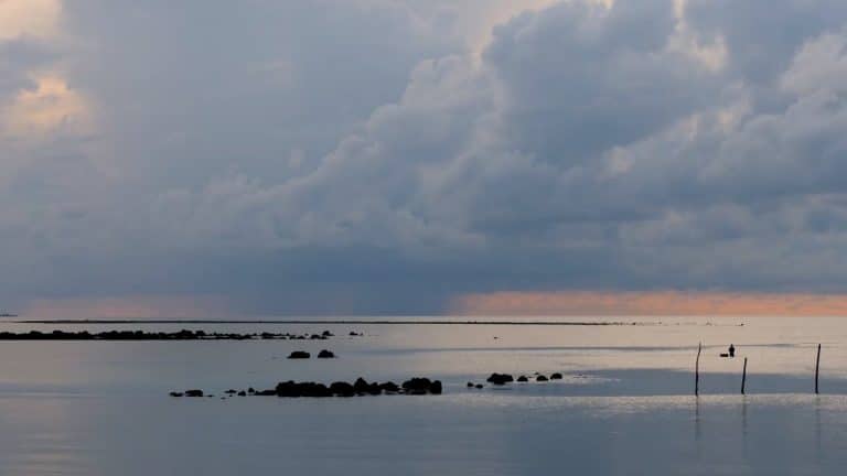 ¿Hay vida en el mar Muerto?