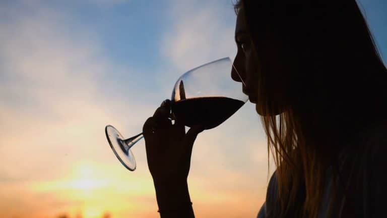 ¿Qué es el Vermut?