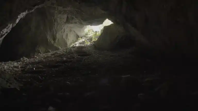 Descubren un antiguo bosque a 192 metros de profundidad en China.