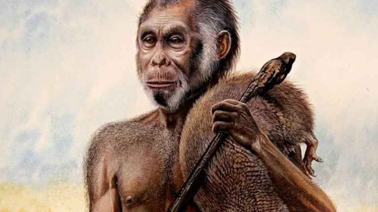 Un hobbit en la vida real: el Homo floresiensis.