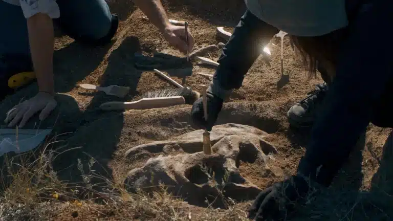 La playa española donde podrías encontrar fósiles de dinosaurio