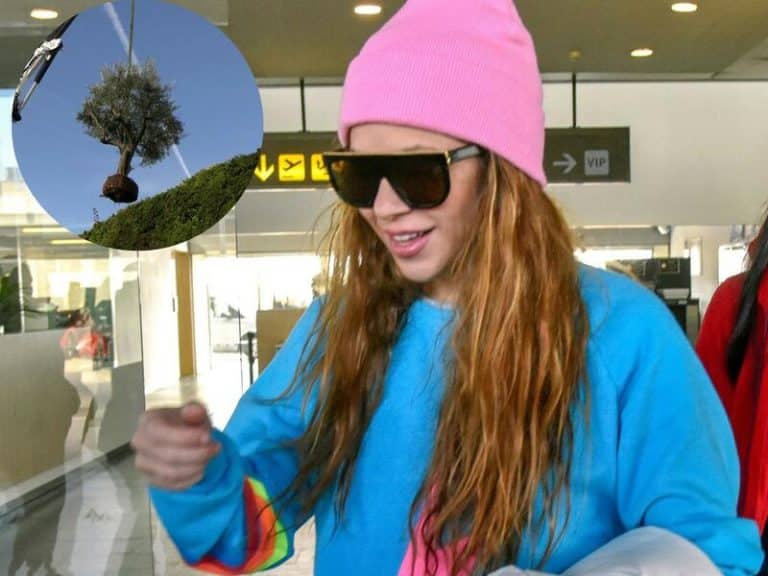 La verdad del árbol que Shakira NO se ha llevado de su casa de Barcelona a Miami