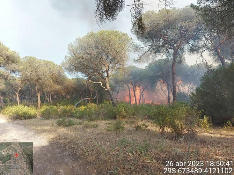 Interior reúne al comité estatal de coordinación de incendios forestales ante el aumento de temperaturas