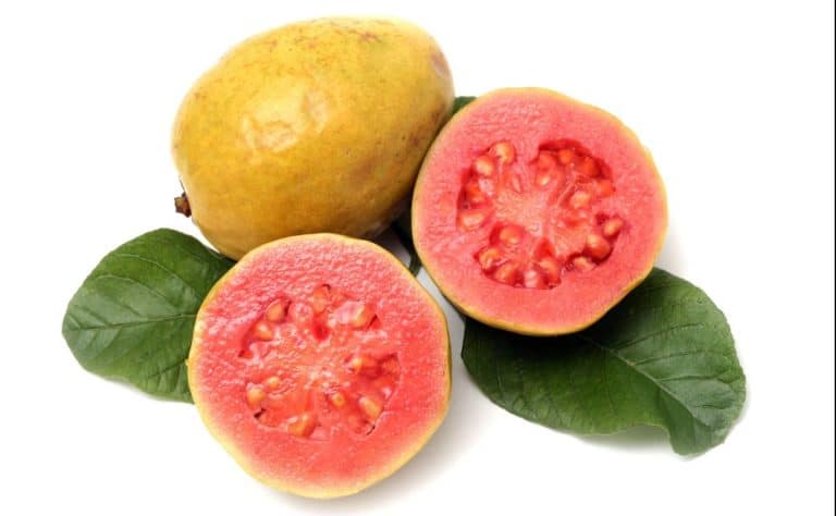 La guayaba tiene 4 veces más vitamina C que la naranja y la ciencia la recomienda contra la anemia