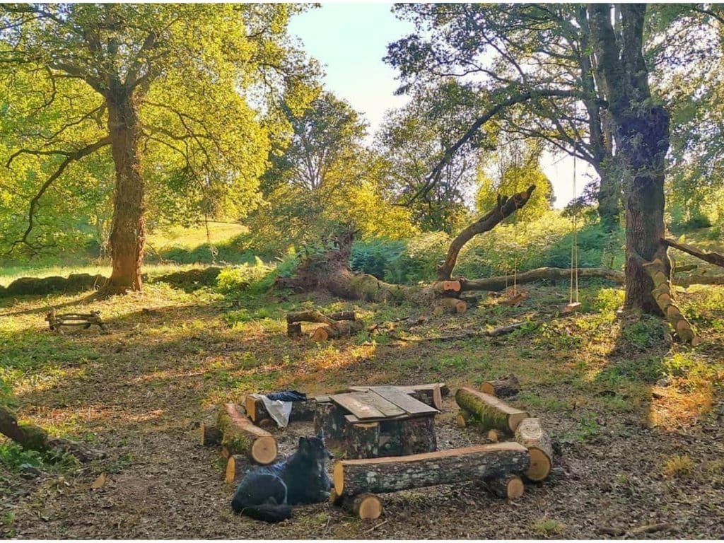 6 museos de Galicia que debes visitar a la primera ocasión 70 Juegos infantiles a más no poder