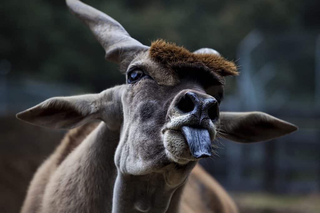 6 museos de Galicia que debes visitar a la primera ocasión 67 Marcelle Natureza (Lugo, Outeiro de Rei)