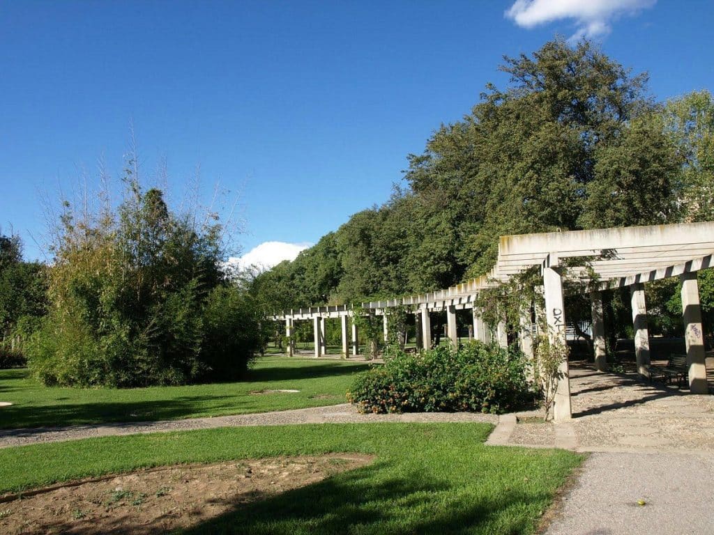 Políticas que funcionan 