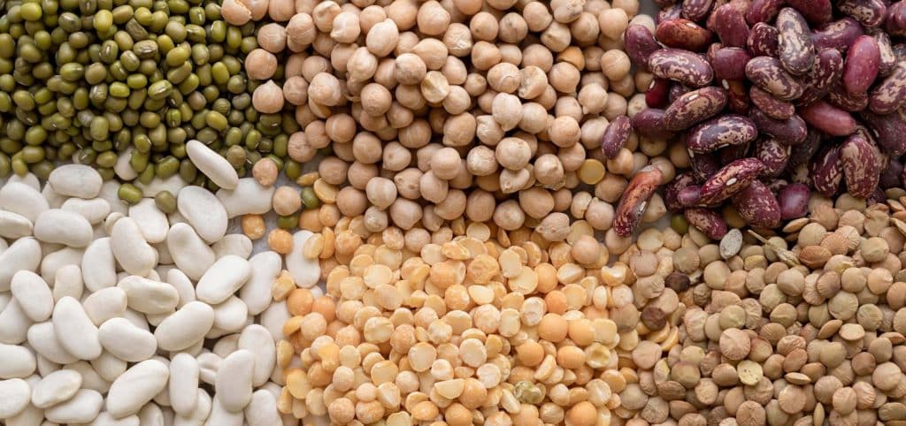 Las legumbres