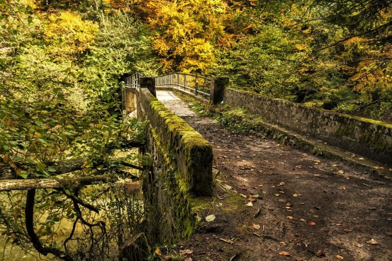 7 bosques más bonitos de España… y que además están encantados