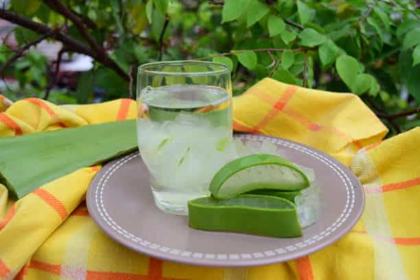 Aloe vera antes de las comidas