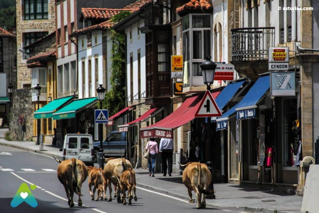 Estos son los pueblos de Asturias donde mejor se come 57 Bulnes y Arenas de Cabrales