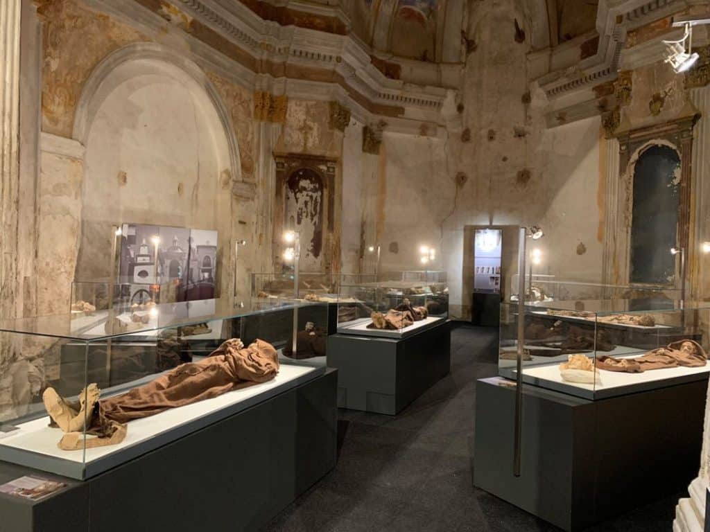 ¿Adiós a las momias y los esqueletos? Lo que significa este cambio para el futuro de los museos