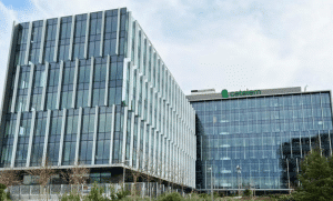 Cuenta de ahorro remunerada al 2% TAE: Cetelem abre su banca digital