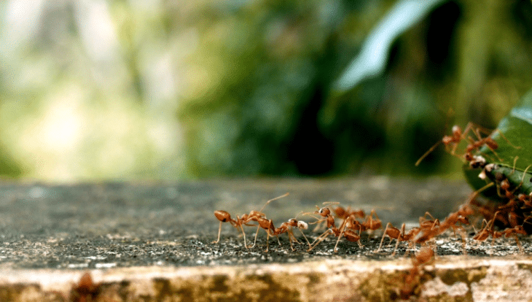 Jorge Rey adelanta el nuevo fenómeno meteorológico que podría afectar a estas comunidades