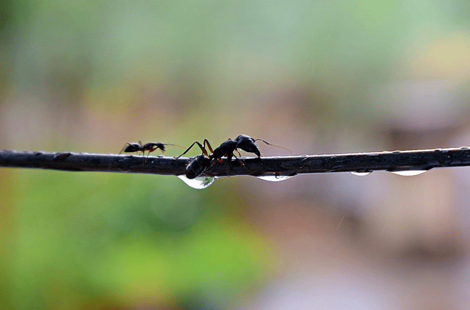 Jorge Rey adelanta el nuevo fenómeno meteorológico que podría afectar a estas comunidades
