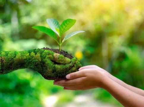 Las continuas olas de calor 