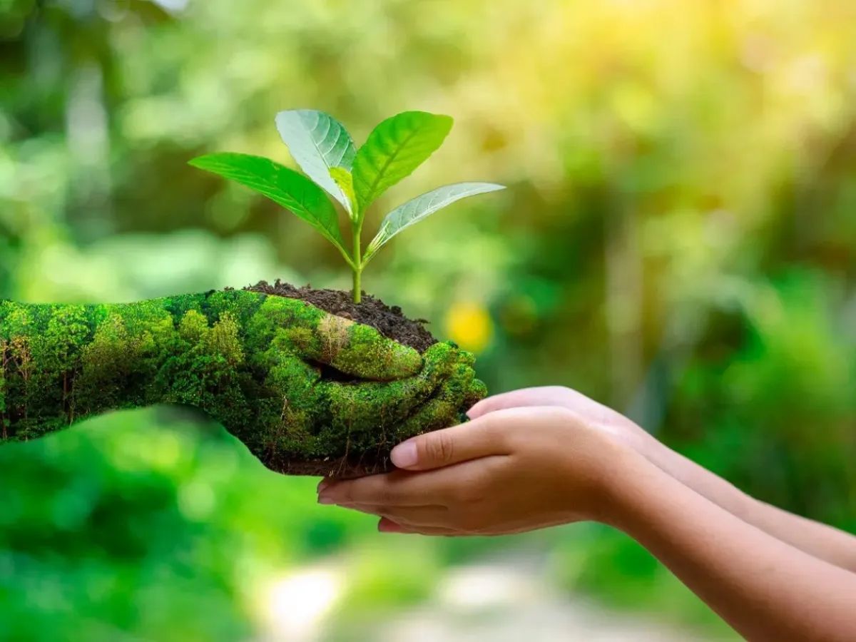 Las continuas olas de calor 