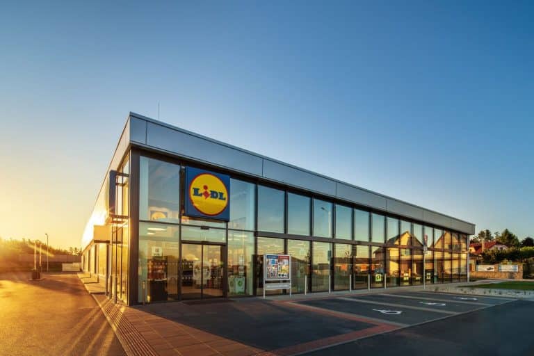 La tumbona de Lidl para tu jardín a un sorprendente precio que ni Ikea