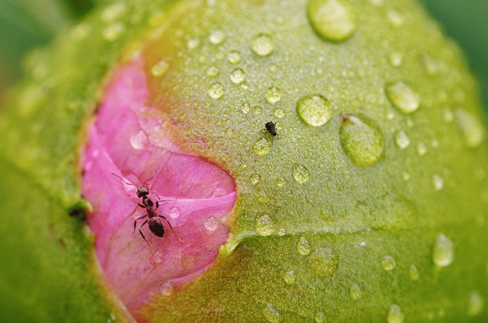 Jorge Rey adelanta el nuevo fenómeno meteorológico que podría afectar a estas comunidades