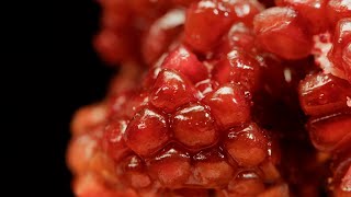 Este es el increíble alimento que te ayuda a reducir el estrés y el colesterol