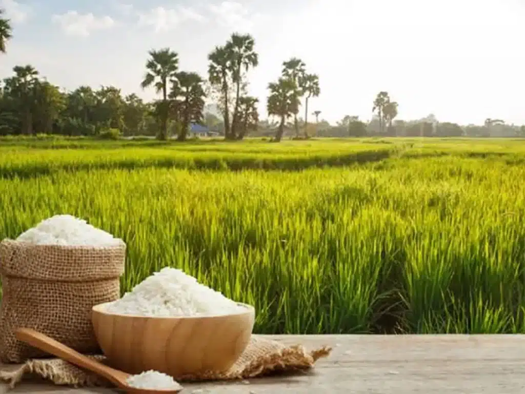 Cómo reducir la exposición al arsénico