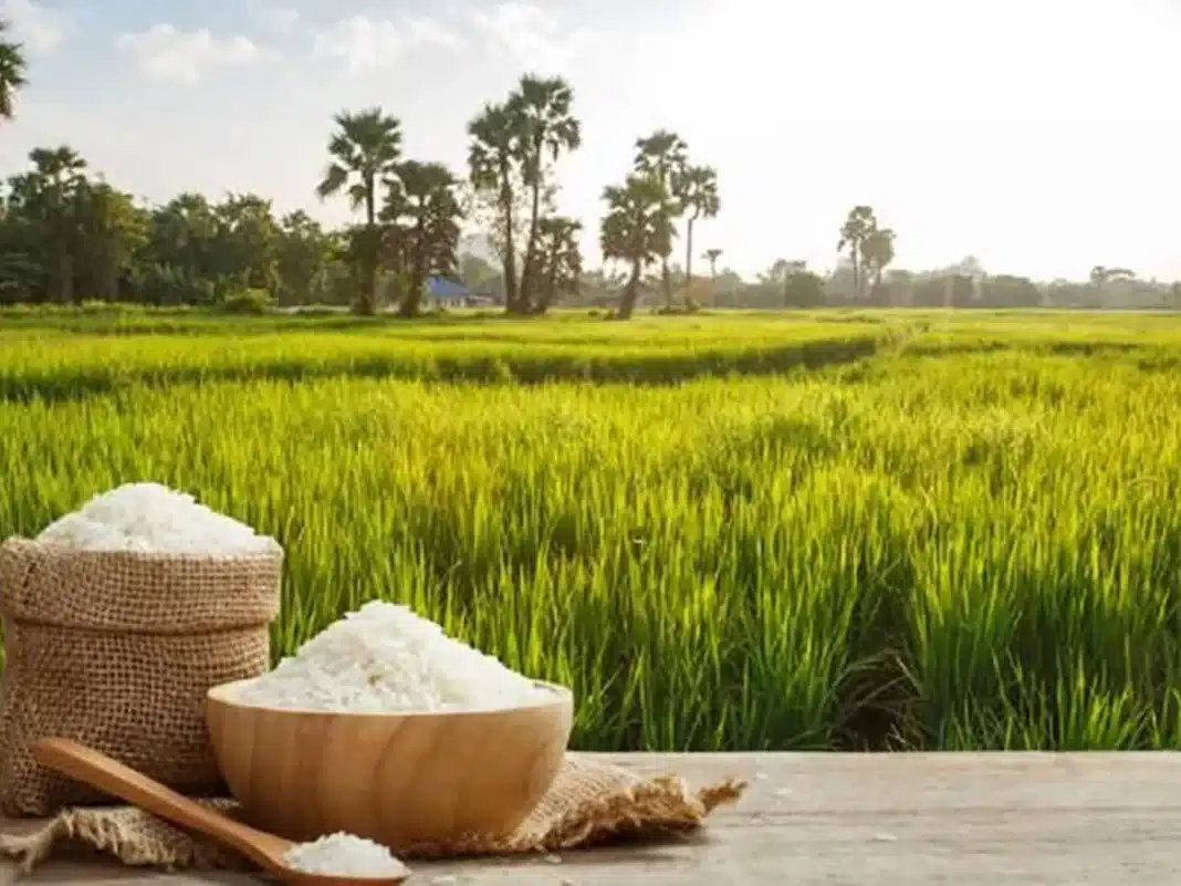 Cómo reducir la exposición al arsénico