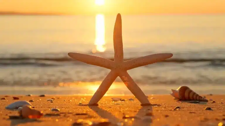 ¿Cómo se reproducen las estrellas de mar?