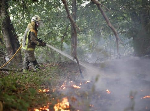 Incendios.- Bolaños pone como ejemplo a C-LM y Extremadura y recomienda a CyL invertir en agentes forestales y bomberos