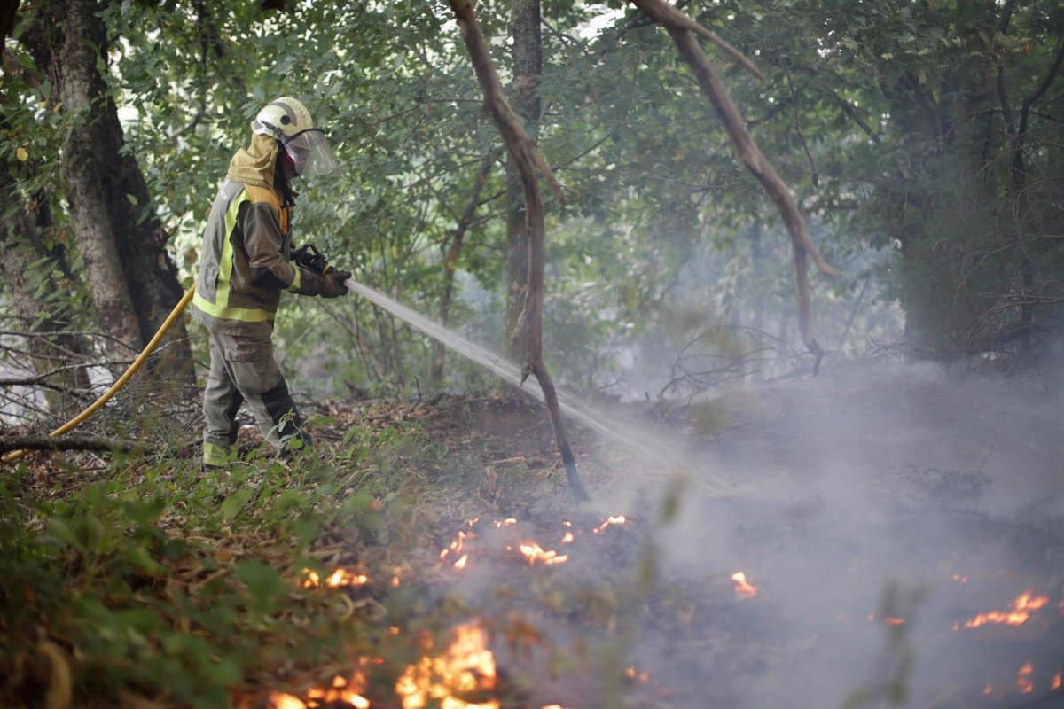 Incendios.- Bolaños pone como ejemplo a C-LM y Extremadura y recomienda a CyL invertir en agentes forestales y bomberos