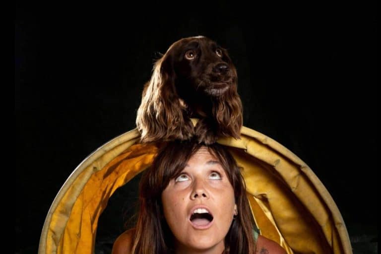 Servicios especializados en adiestramiento, bienestar para cachorros y desarrollo de habilidades con L’Almozara Can Bosc