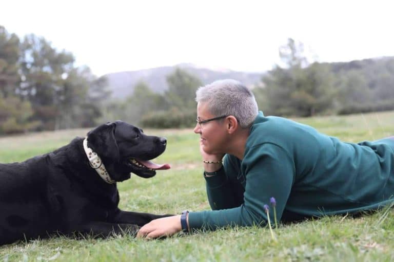 ¿Cuál es la importancia de entender el lenguaje canino?, por el Instituto Dog Coaching