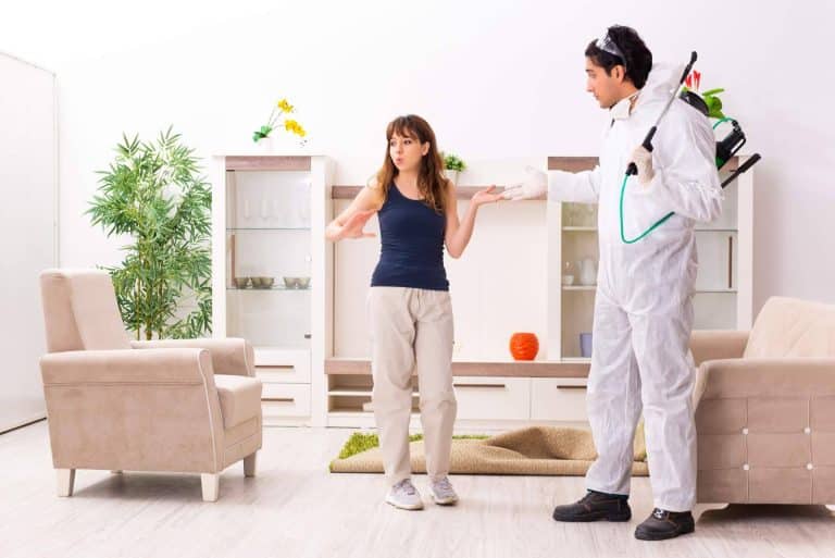 Combatir infestaciones con una empresa de control de plagas