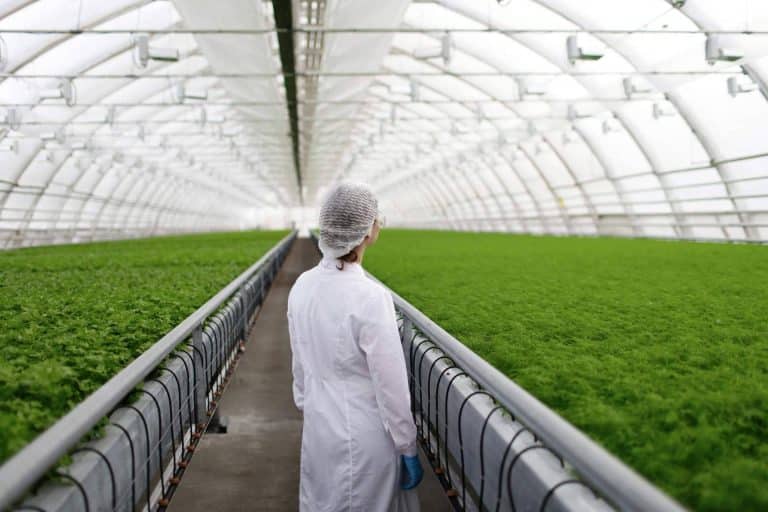 Una plataforma inteligente creada para el seguimiento de fitosanitarios