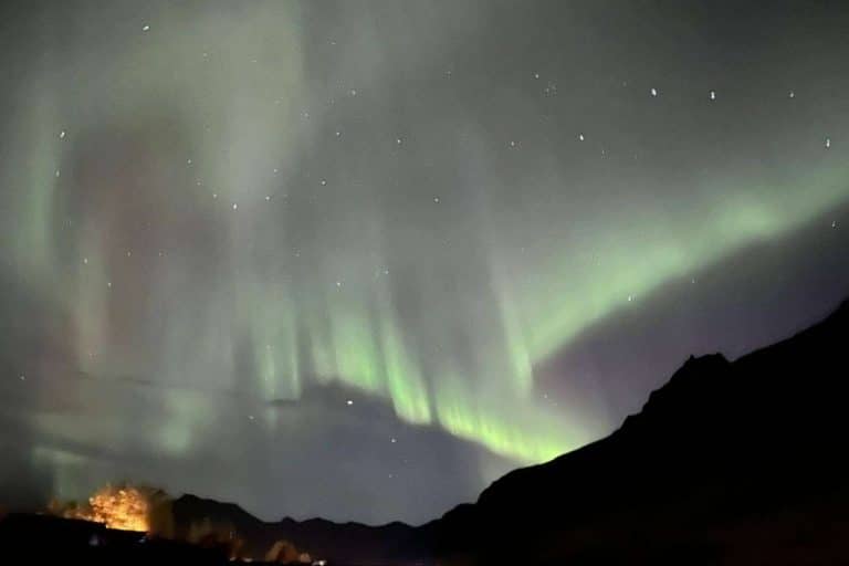 Aldu Experience ofrece un tour de Aurora Boreal y del invierno Islandés