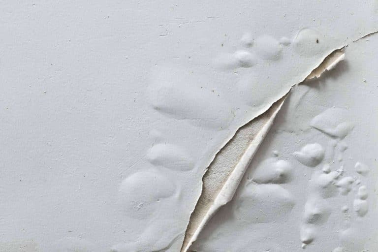 Preactiva y su servicio para eliminar la humedad de la pared