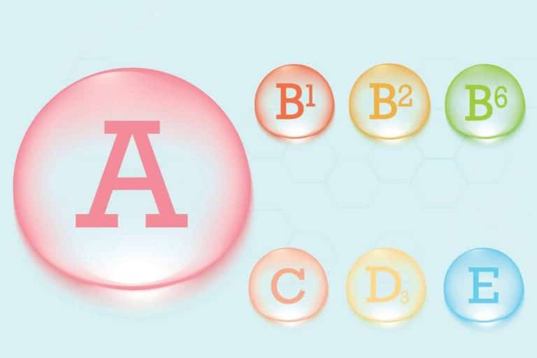 ¿Qué vitaminas se pueden encontrar en La Para-Farmacia del Puerto?