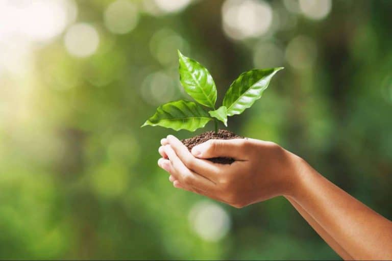 Siendo empresa Cepyme 500 por tercer año, Multienergía Verde consolida su crecimiento y estrategia a largo plazo