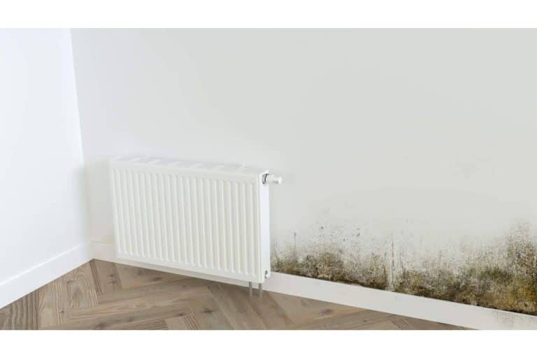 Eliminar la humedad de las paredes, con Preactiva