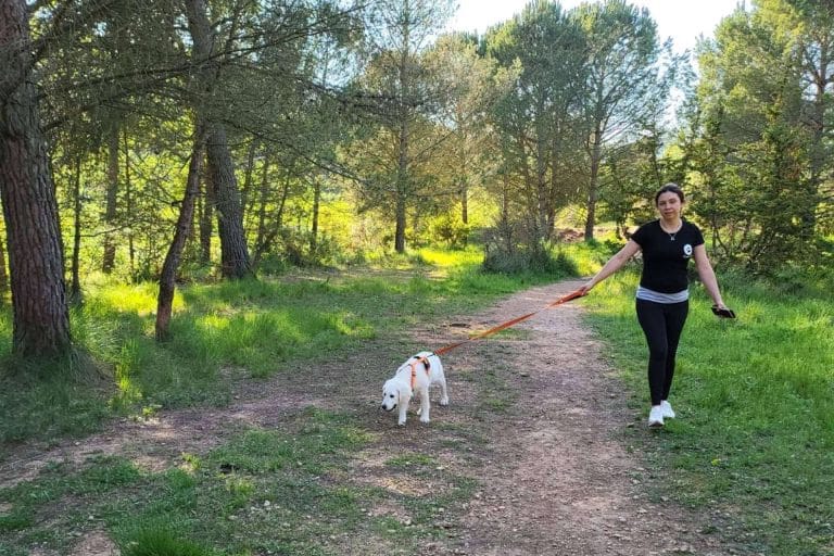 El Perro Feliz, la alternativa de garantías para el cuidado de los peludos en Barcelona Sur y Tarragona