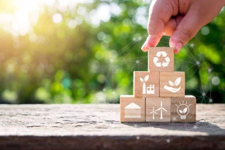 ¿Por qué es importante la eficiencia energética en la lucha contra el cambio climático?. ¿Cómo una asesoría energética puede ayudar?