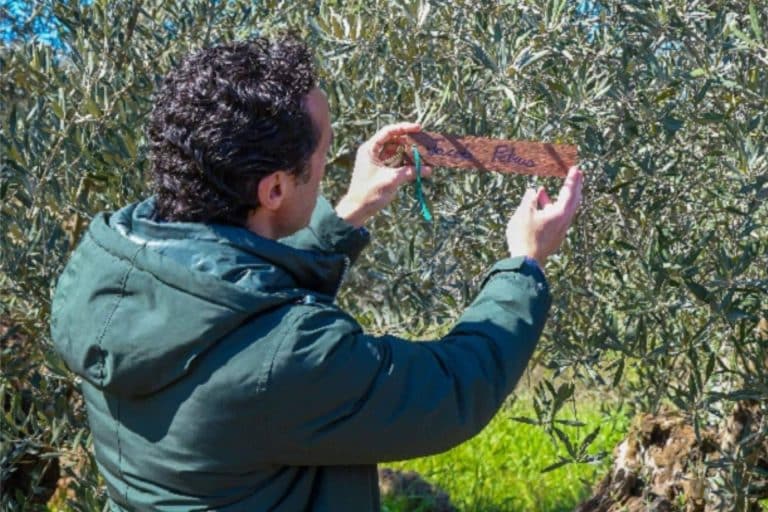 El presentador Jacob Petrus y su programa 'Aquí la Tierra' ya tienen su olivo centenario en Carboneros