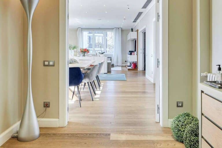 Monika Rüsch, la empresa que ofrece pisos en alquiler en Barcelona