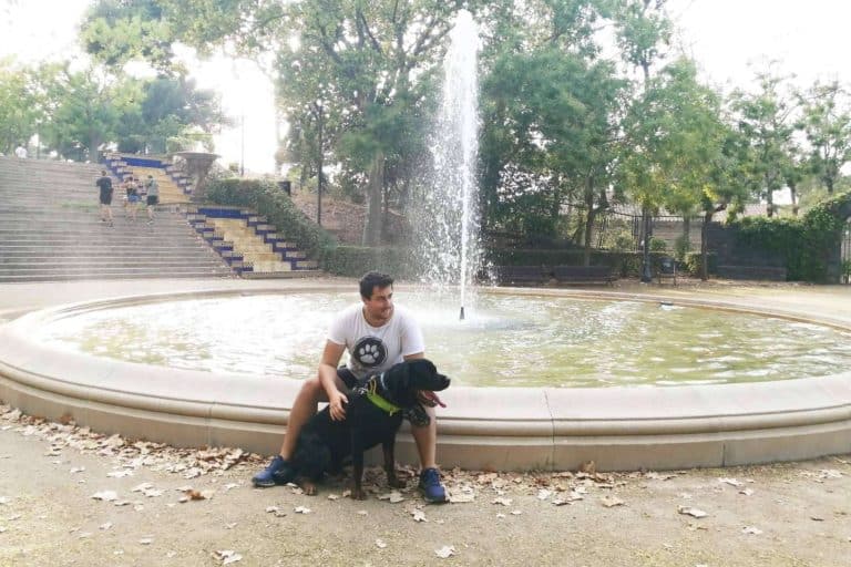 Una alternativa de confianza para el hospedaje y paseos del mejor amigo del hombre, con El Perro Feliz Barcelona Centro